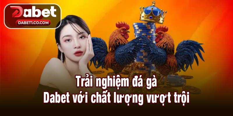 Trải nghiệm đá gà Dabet với chất lượng vượt trội