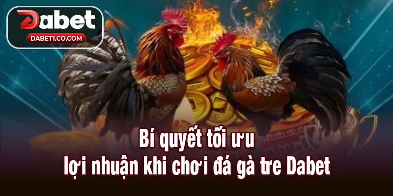 Bí quyết tối ưu lợi nhuận khi chơi đá gà tre Dabet