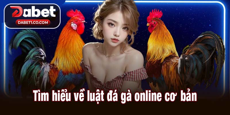 Tìm hiểu về luật đá gà online cơ bản