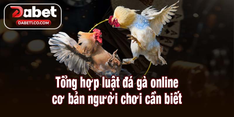 Tổng hợp luật đá gà online cơ bản người chơi cần biết