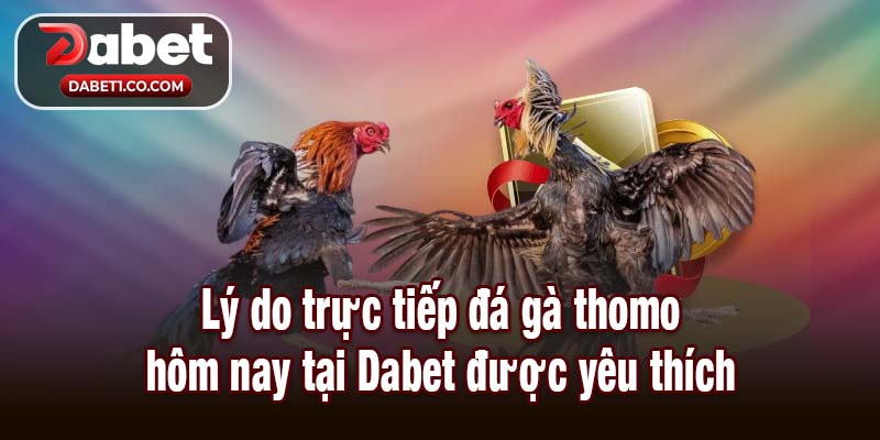 Lý do trực tiếp đá gà thomo hôm nay tại Dabet được yêu thích